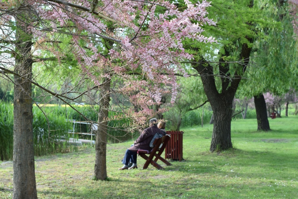elderly-2415711_1280 – Copy